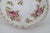 Royal Albert Mid 20th Century Royal Albert Flower of the Month Series Pink June Roses Bone China Saucer For Sale - Image 4 of 7