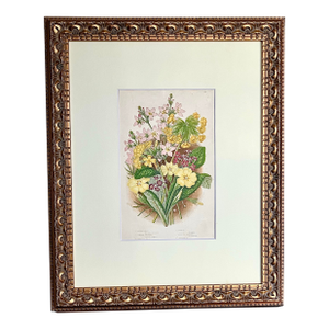 Original Antique Floral Botanical Lithograph c.1860