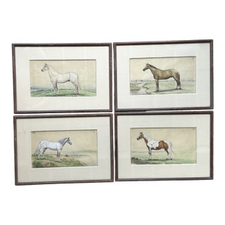 Vintage Equestrian Watercolor Prints in Wood Frames - Set of 4 For Sale