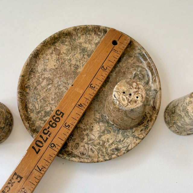 Vintage Fossil Coral Marble Condiment Set With Tray, Salt & Pepper Shakers and Toothpick Holder - Set of 4 For Sale - Image 11 of 12