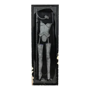 Susan Tibbles Life Sized Art Assemblage “Master Lock” Framed Sculpture in Distressed Display Case