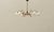 Sputnik Ceiling Light with Brass Frame and Opal Glass, 1950s For Sale - Image 13 of 13