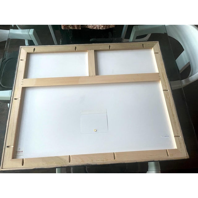 Black Framed Photography Paolo Ventrua For Sale - Image 8 of 10