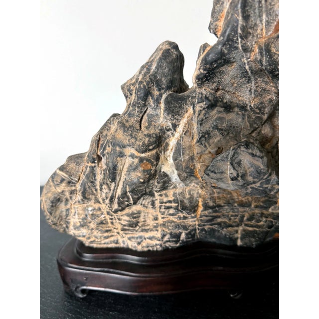 19th Century Large Chinese Horizontal Gray Lingbi Scholar Stone with Grotto on Display Stand For Sale - Image 11 of 12