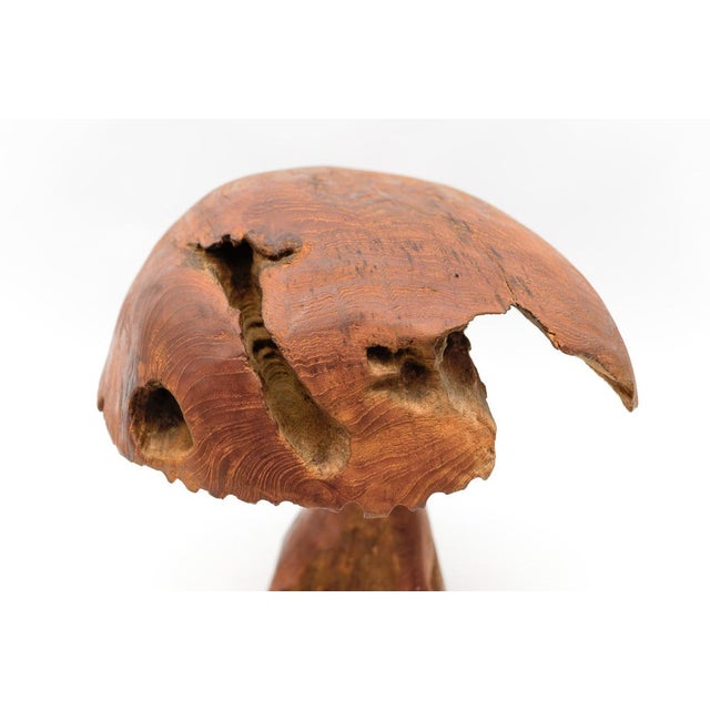 Large Mid-Century Modern Mushroom, 1960s For Sale - Image 14 of 16