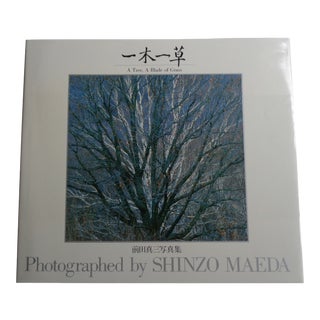Vintage Photography Book a Tree a Blade of Grass For Sale