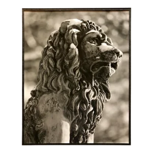 Theodore Cohen, Stone Lion Sculpture Photograph, Jerusalem Vintage Silver Gelatin Photo Print, c.1960's