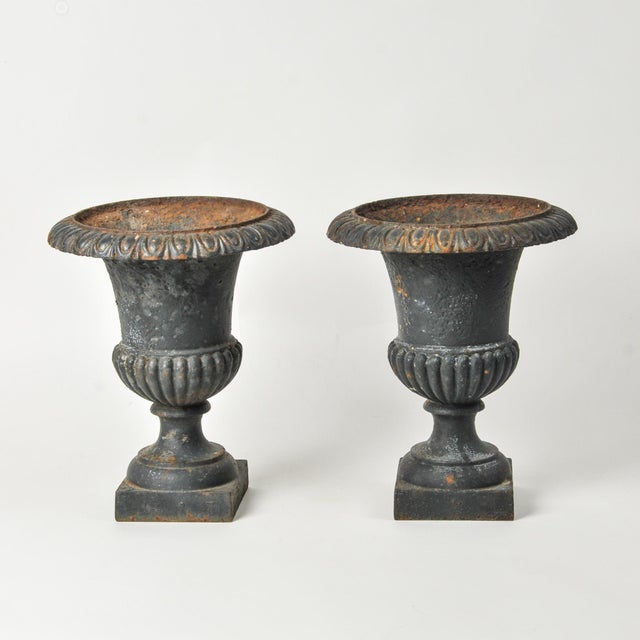 Absolutely lovely French style pair of vintage/antique cast iron urn planters. Exact age unknown. Each measures ~12" tall...