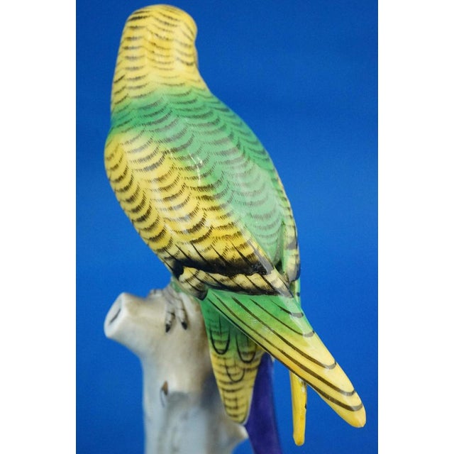 Porcelain Sculpture of Parrot Figurine by Real Casa Ferdinandea or Ginori Doccia, Italy, 1700s-1800s For Sale - Image 12 of 18
