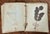 Early 20th Century Antique Botany Herbarium: 1900s Lab Notes & Drawings - Columbia City High School For Sale - Image 5 of 10