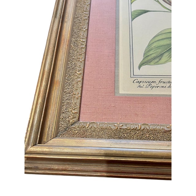 Pair Vintage Custom Framed Botanical Giclee Prints With Double Linen Matte For Sale - Image 6 of 18