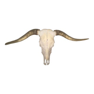 Vintage Wall-Mounted Steer Skull For Sale