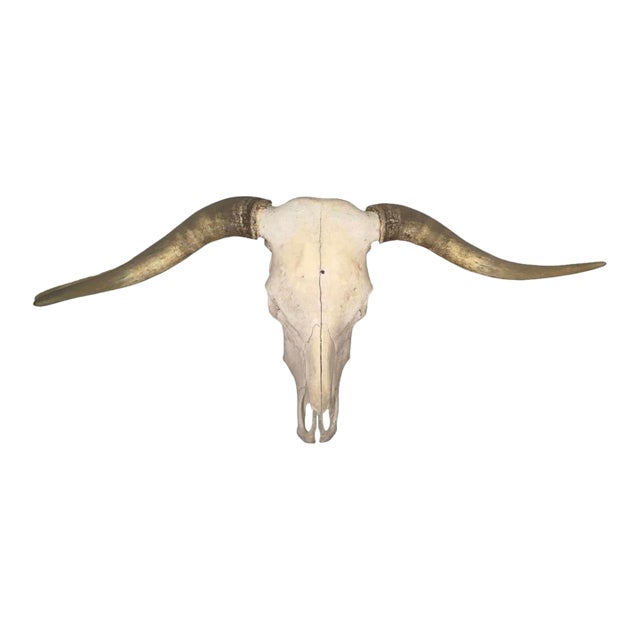 Vintage Wall-Mounted Steer Skull For Sale