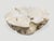 Andrianna Shamaris Round Bleached Teak Wood Coffee Table For Sale - Image 16 of 18