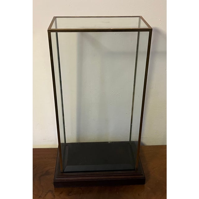 Late 20th Century Brass and Glass Tall Rectangular Box Museum Display Case Dome With Mahogany Base For Sale - Image 5 of 10