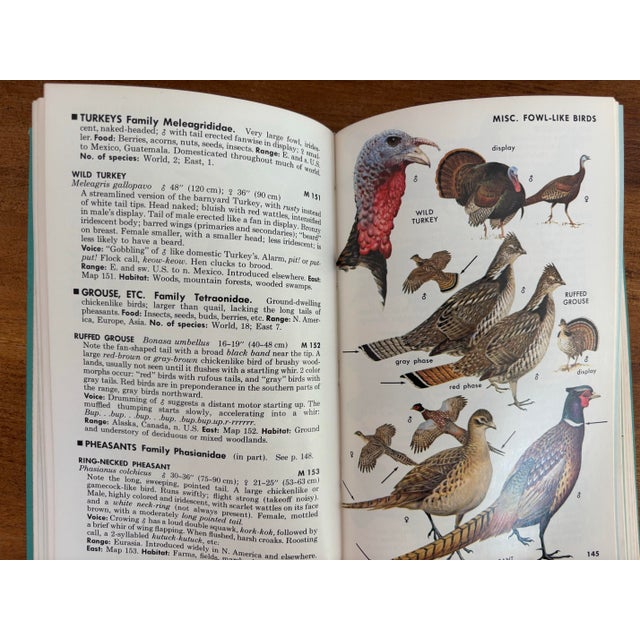 1980s Peterson Field Guide to Birds For Sale - Image 9 of 10