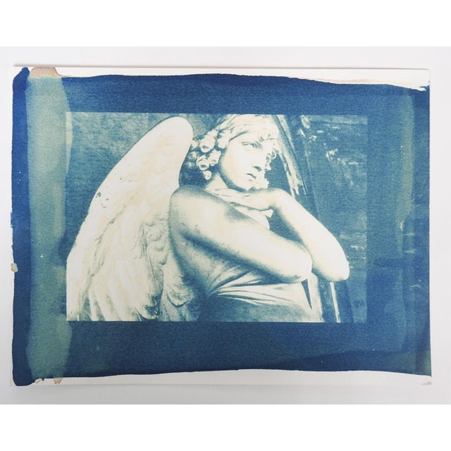 Late 20th century blue tone cyanotype photograph on paper by Eric C. Weller (20th century) Texas of the Monteverde Angel...