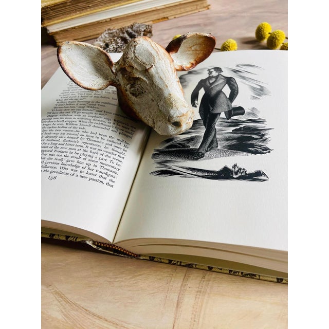 1970s 1970 the Return of the Native by Thomas Hardy For Sale - Image 5 of 10