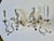 Maison Baguès Mid 19th Century Pair of Maison Bagues Wall Sconces For Sale - Image 4 of 10