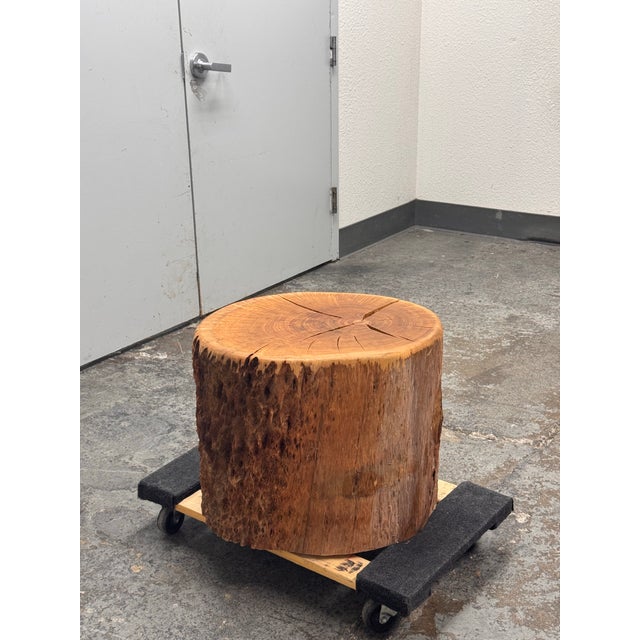 Organic Modern Live Edge Tree Side Table/Stool For Sale - Image 4 of 12