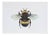 Juris Utans, Bumblebee II, 2021, Mixed Media on Paper For Sale