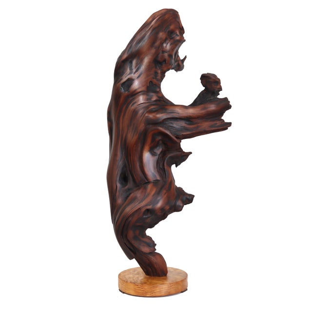 Deep Roots - Elegant Organic Abstract Redwood Sculpture With Maple Base Original Artwork by Joe Garnero For Sale In Los Angeles - Image 6 of 10