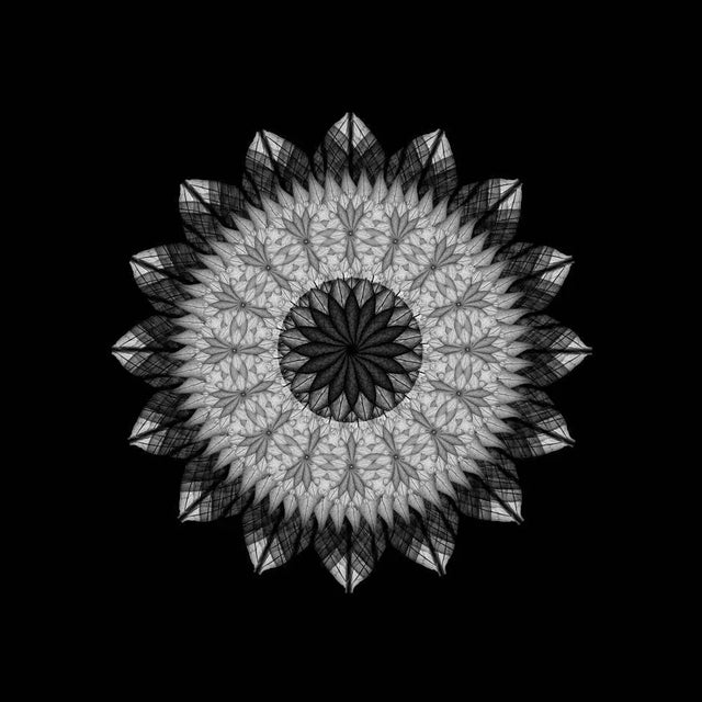 Edition of 10. All items are shipped as a print only and come unframed. Judith lyons is a photographic artist living and...