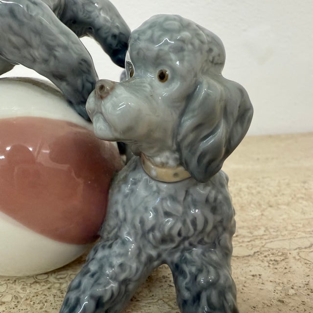 Spain Porcelain Poodle Sculpture, Spain, 1970s For Sale - Image 4 of 12