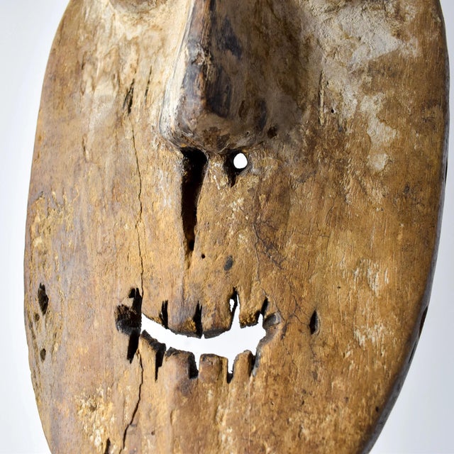 Early 20th Century Lega Bwami Society Mask For Sale - Image 9 of 11
