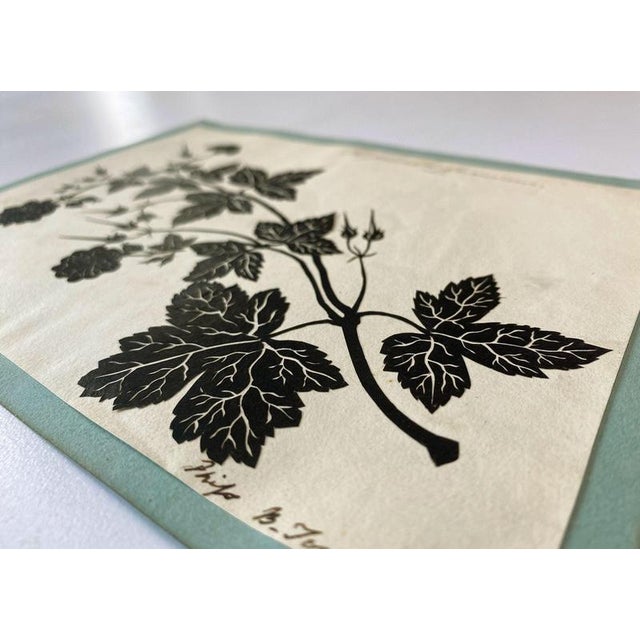 Traditional Barbara Anne Townshend, The Pencil'd Geranium, Paper Cut For Sale - Image 3 of 8