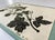 Traditional Barbara Anne Townshend, The Pencil'd Geranium, Paper Cut For Sale - Image 3 of 8