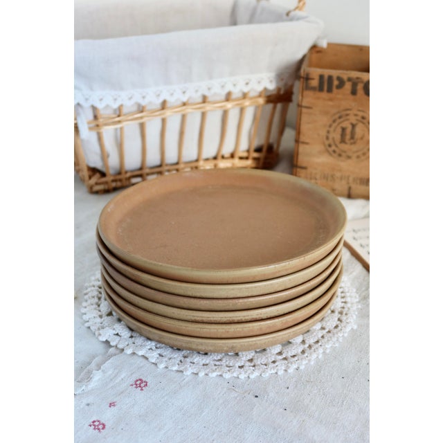 Rustic Vintage Stoneware Dinner Plates, 1980s, Set of 6 For Sale - Image 3 of 8