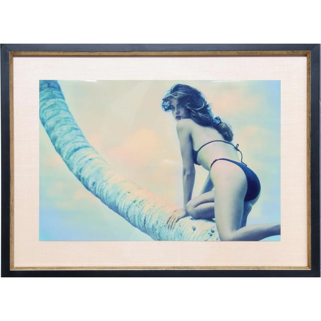 Willie Miller, Southbeach, Photograph For Sale - Image 4 of 4