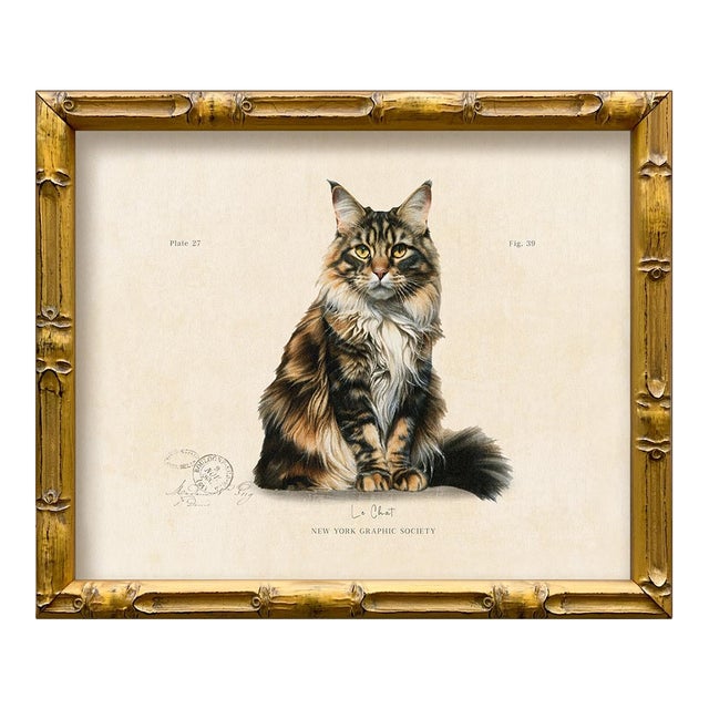 Reproduction Art Print of Vintage “Le Chat" Illustration (Cat 5), Framed For Sale
