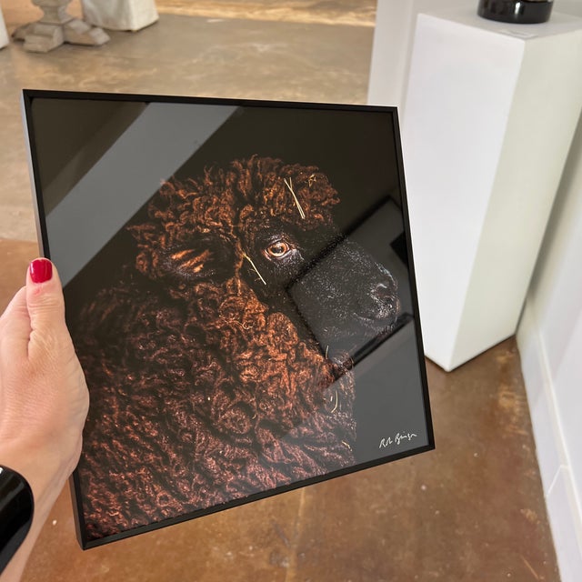 Title: Pearl Signed Print in Black Metal Frame by Photographer: Rob Brinson Mini Series - we also have other sizes - Art...