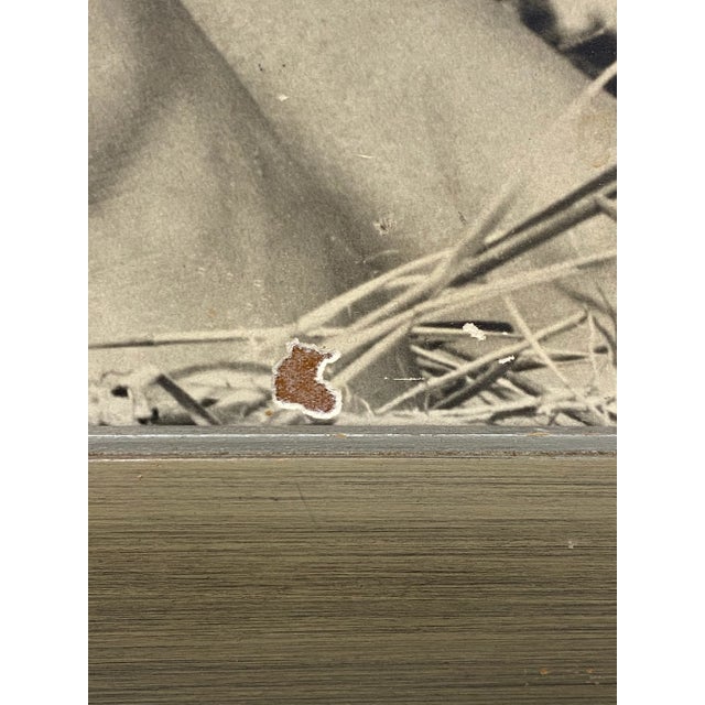 Paper Vintage Large Scale "Kodak Film" Advertisement C.1950 For Sale - Image 7 of 9