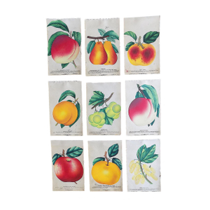 Authentic Antique Hand Finished Fruit Chromolithographs - Set of 9