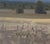 Gathering Form by Michael Magrin | Oil on Canvas Landscape With Towering Cumulus Clouds For Sale - Image 4 of 14