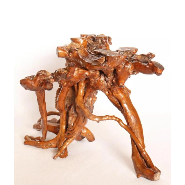 19th Century Late 19th Century Wabi Sabi Japanese Lacquered Root Stand For Sale - Image 5 of 6