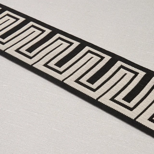 Schumacher Schumacher Zeus Indoor/Outdoor Tape, Black For Sale - Image 4 of 5