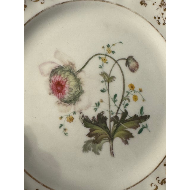 English Early 19th Century English Botanical Porcelain Plate For Sale - Image 3 of 9