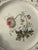 English Early 19th Century English Botanical Porcelain Plate For Sale - Image 3 of 9