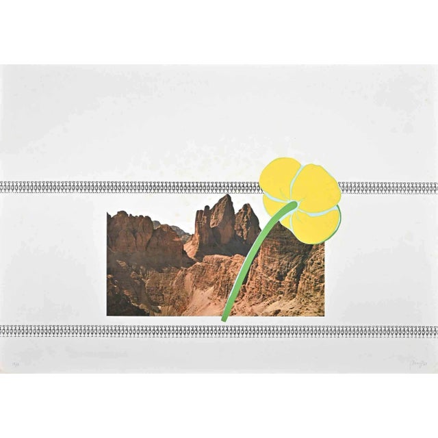 Tomaso Binga, Flower, Original Lithograph, 2000s For Sale