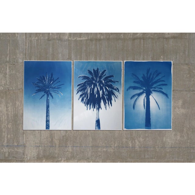 Paper "Desert Palm Trio" Hand Painted Cyanotype Triptych on Watercolor Paper - Set of 3 For Sale - Image 7 of 8