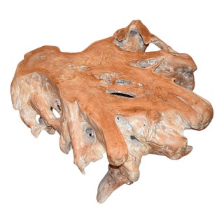 Natural Teak Root Coffee Table, 1980s For Sale