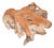 Natural Teak Root Coffee Table, 1980s For Sale