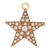 Distinct Antique Victorian Star Pendant (Circa 1880s to 1900s) Crafted in 14 Karat Rose Gold. For Sale