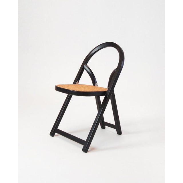 Arca Chair by Gigi Sabadin for Crassevig, 1974 For Sale - Image 12 of 12