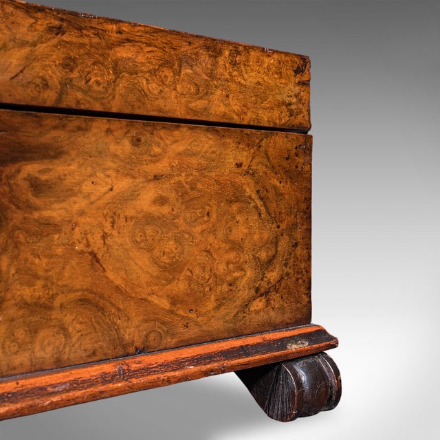 Antique Keepsake Case, English, Burr Walnut, Jewellery, Organiser Box, Victorian For Sale - Image 12 of 12