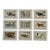 1907 French Photogravure Prints - Collection of Nine Short-Legged Dogs - For Sale